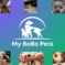 My 10BoBo Pets